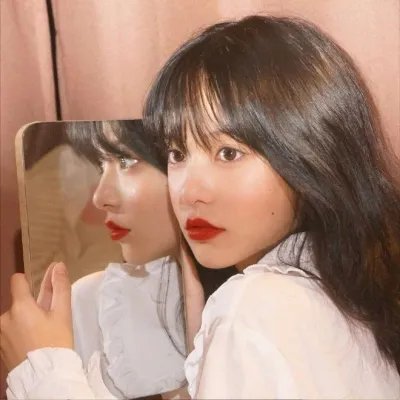 极岛森林第二季